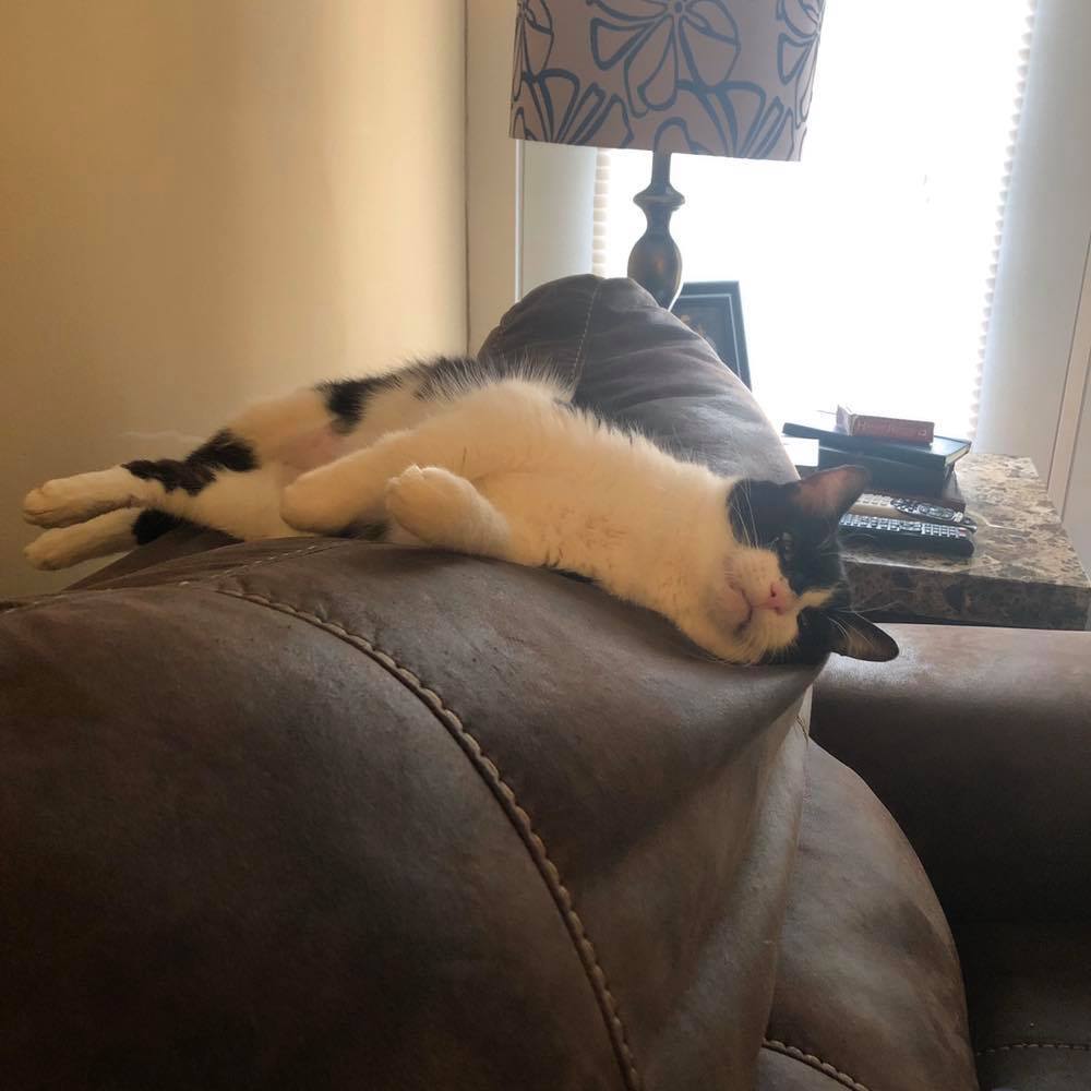 Meet your Posher, Elizabeth